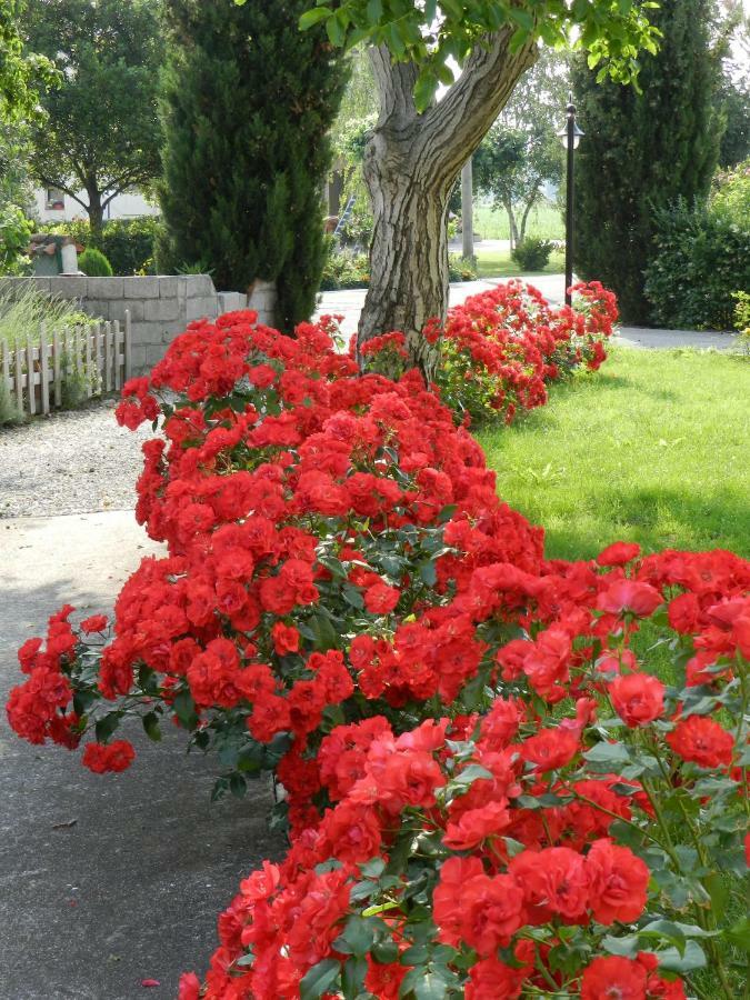 Al Sol Levante Fossalon ภายนอก รูปภาพ